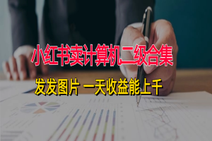 小红书卖计算机二级合集