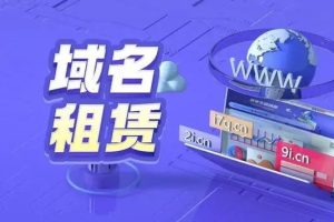 冷门项目域名出租玩法简单粗暴【揭秘】